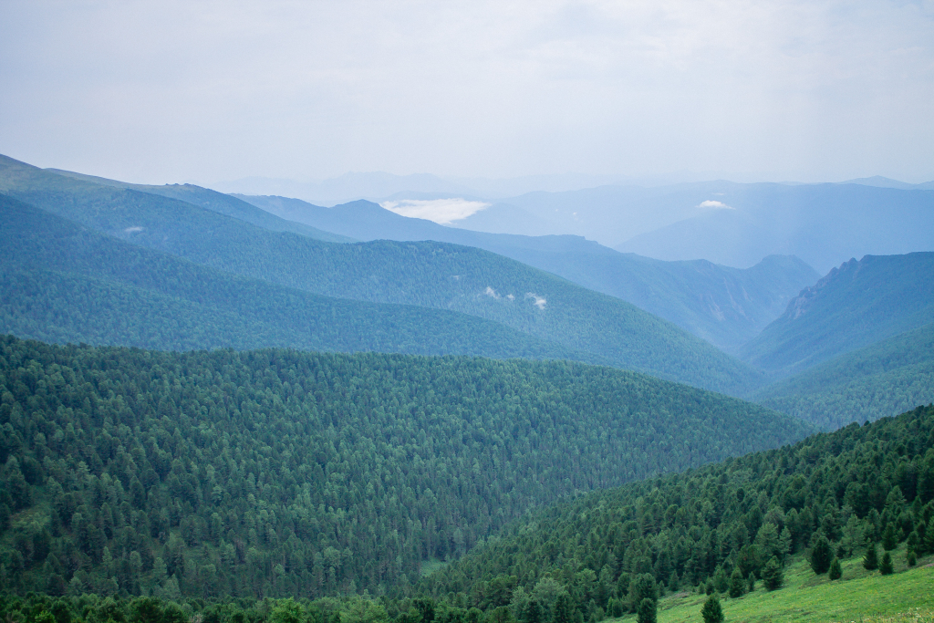_MG_4599.jpg _MG_4599.jpg