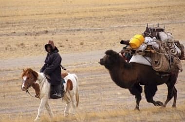 Экспедиция в Монголию 